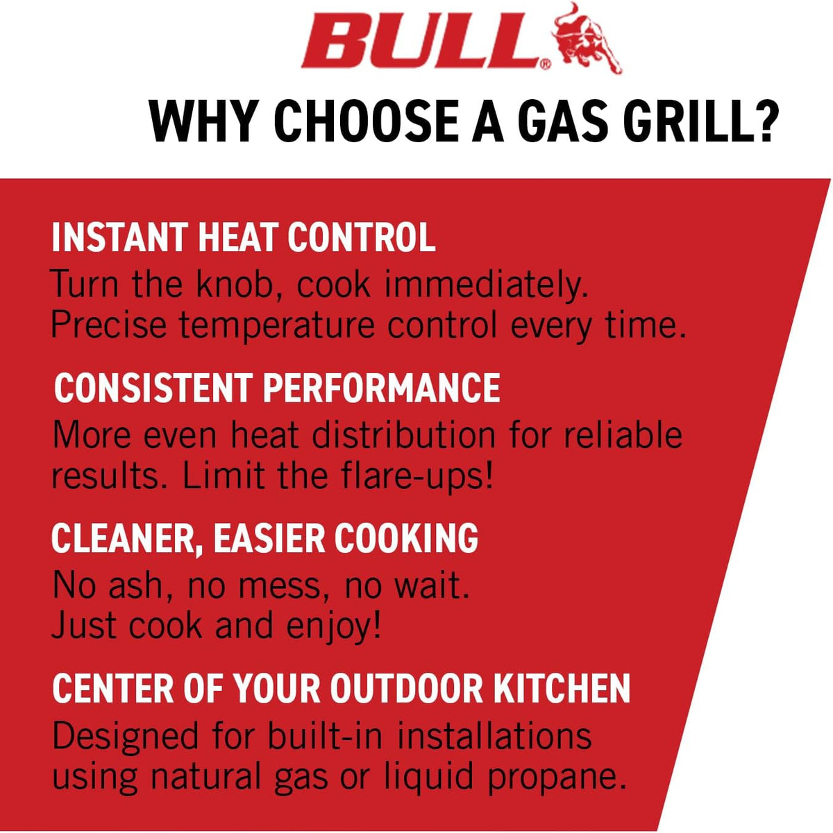 Bull Outdoor Products Built-In Gas Grill