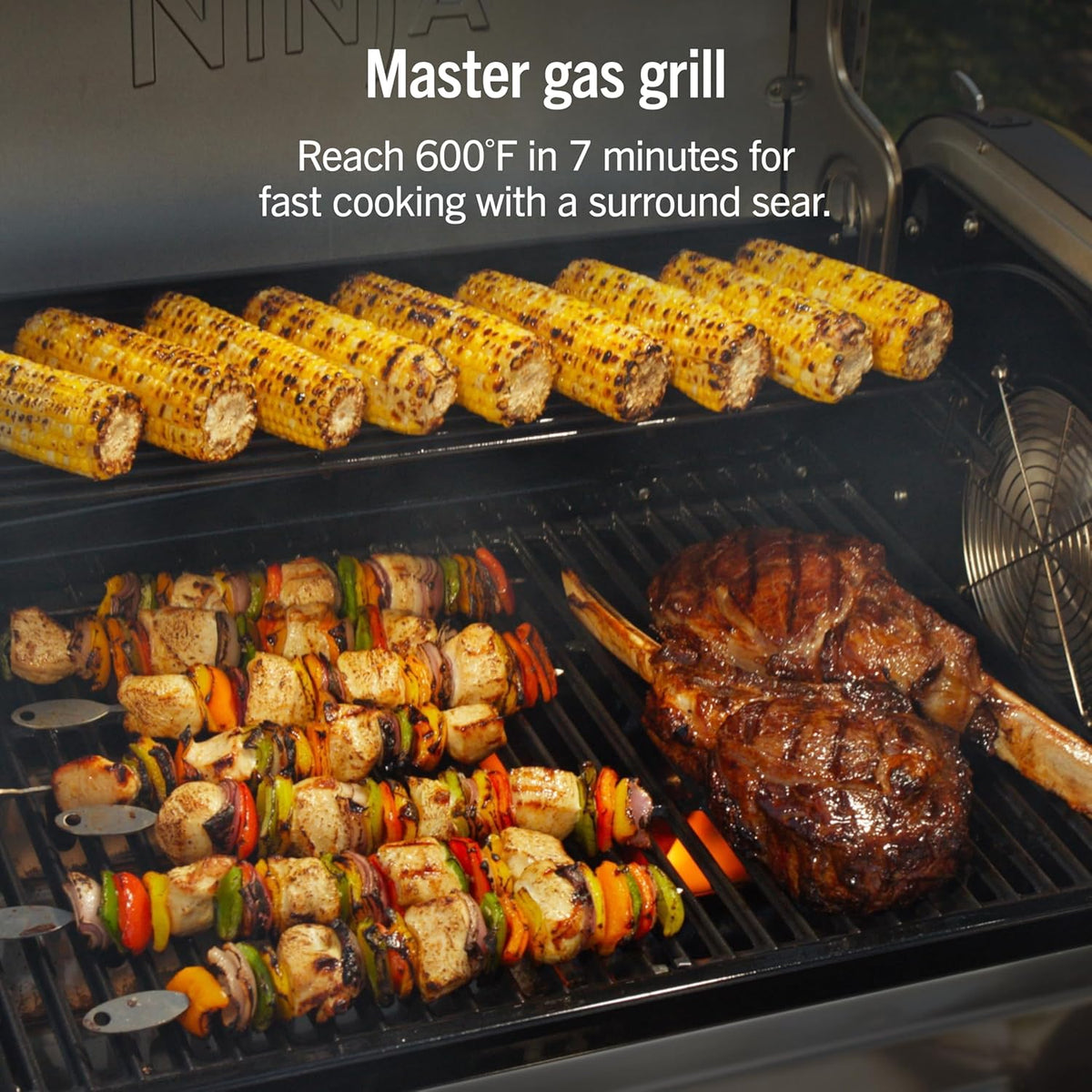 Ninja FlexFlame ProConnect Multi-Function Grill & Smoker